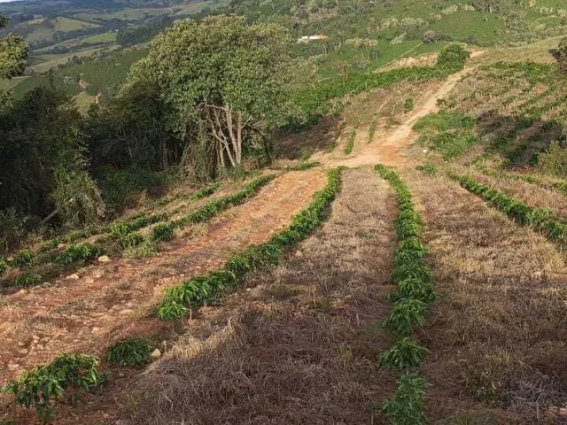 Imagem 6: Sítio à venda no bairro Centro - Campestre/MG