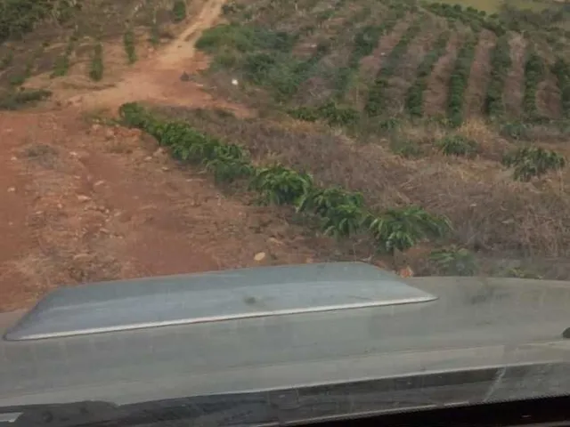 Imagem 2: Sítio à venda no bairro Centro - Campestre/MG