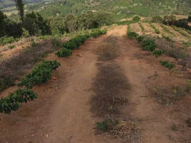 Imagem 4: Sítio à venda no bairro Centro - Campestre/MG