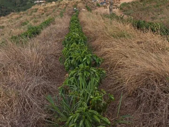 Imagem 3: Sítio à venda no bairro Centro - Campestre/MG