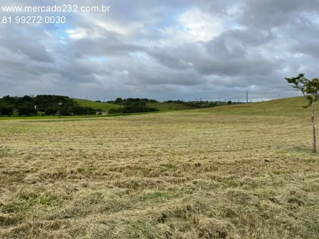 Imagem 15: Terreno Comercial de 2.000m² em Alphaville Pernambuco, Jaboatão dos Guararapes - Vargem