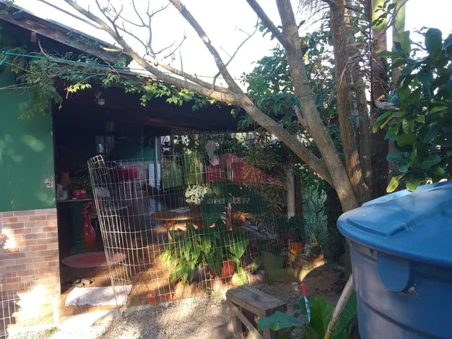 Imagem 14: REF. 393 Casa á venda no bairro do Ratones, Florianópolis/SC