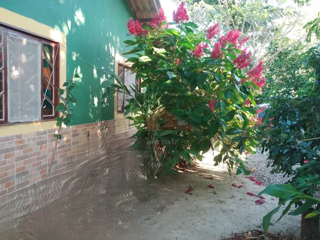 Imagem 13: REF. 393 Casa á venda no bairro do Ratones, Florianópolis/SC