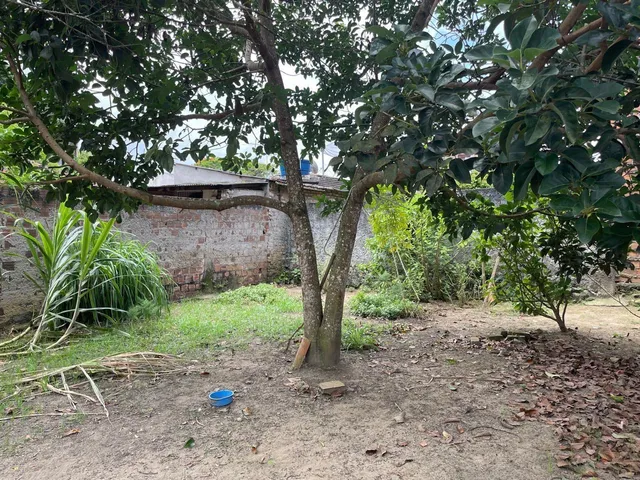 Imagem 11: Casa Residencial em Amargosa - Ba, Bosque