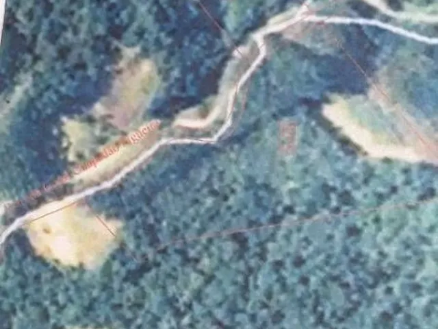 Imagem 5: Terreno para Sítio em Botuverá com Eucalipto Plantado