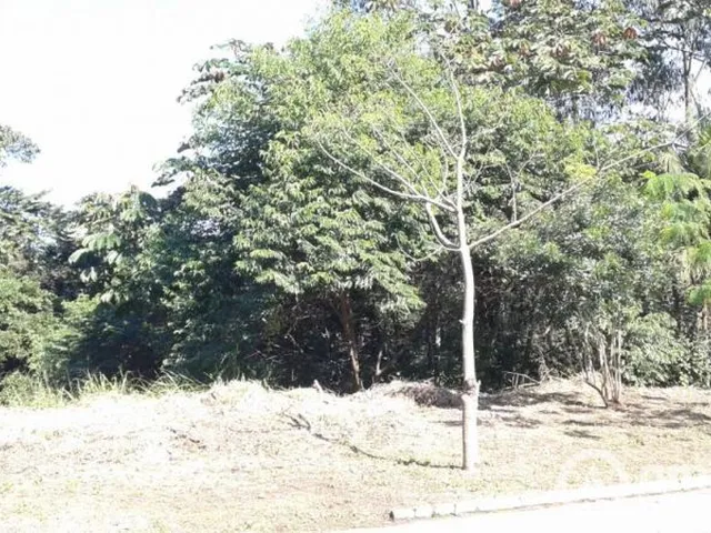Imagem 3: Terreno amplo Bruschal - Souza Cruz