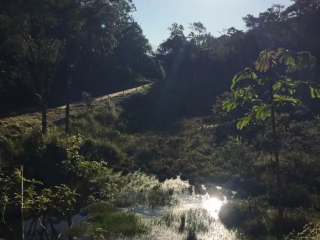 Imagem: Terreno para Sítio