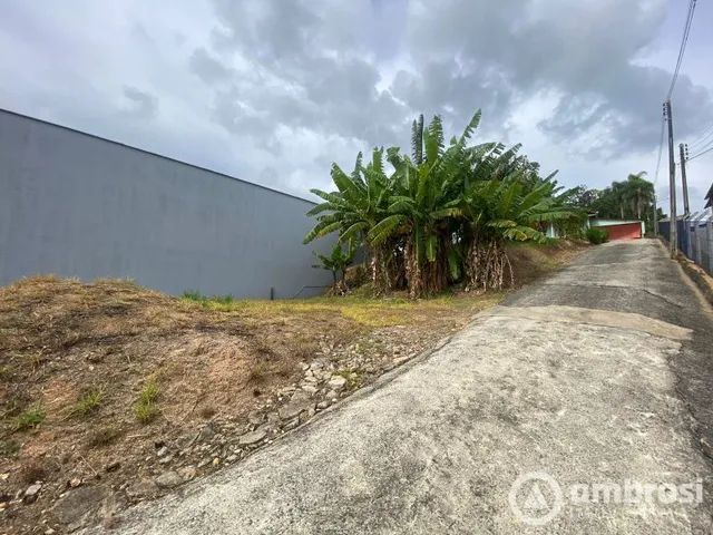 Imagem: Terreno Comercial Ou Residencial Cedro Alto