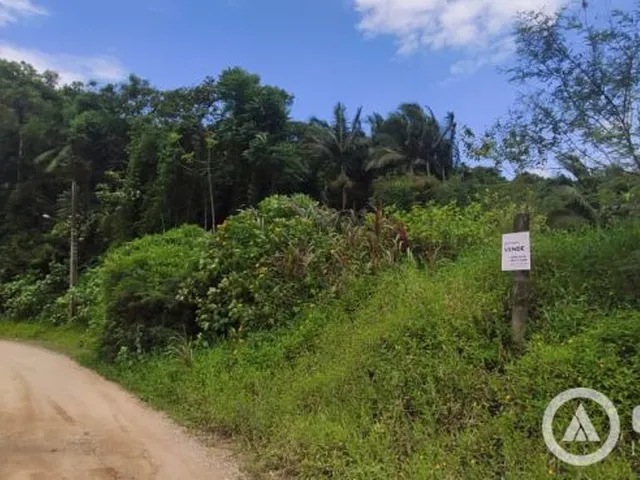 Imagem: Terreno Ideal Para Empresa ou Sitio