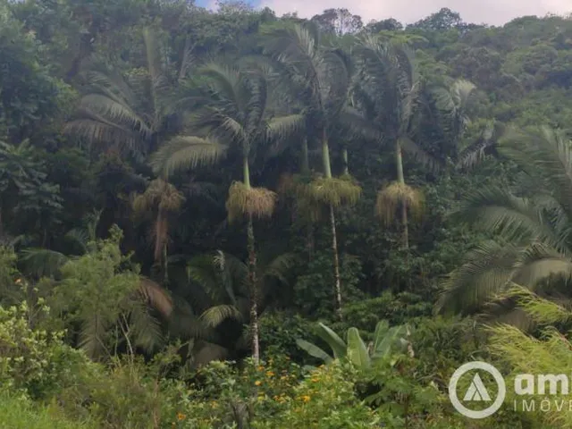 Imagem 4: Terreno Ideal para Empresa Ou Sitio