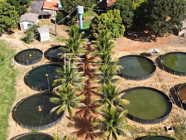 Imagem: CHACARÁ COMPLETA PARA PISCICULTURA E LAZER