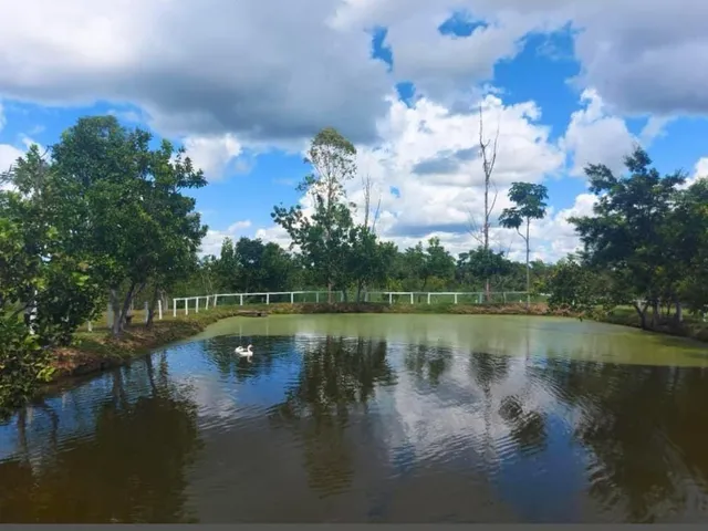 Imagem 7: Chácara À Venda Perto de Cuiabá com Casa, Piscina, Campo, Rio e Área Ampla para Lazer