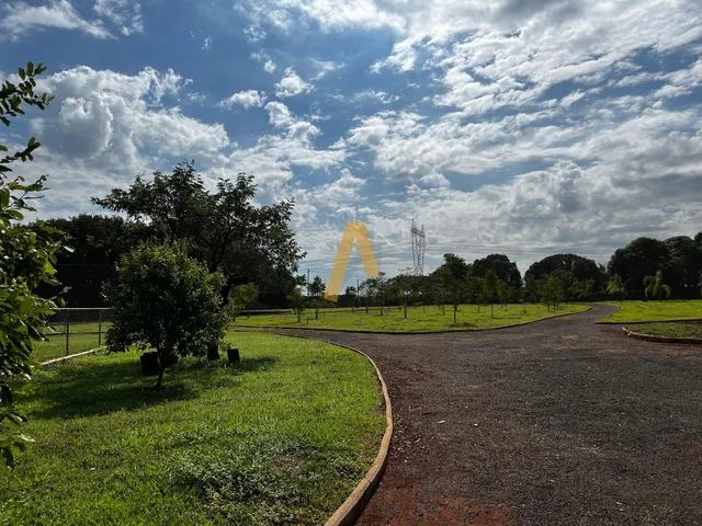 Imagem 8: Chácara à venda no bairro Centro - Jardinópolis/SP