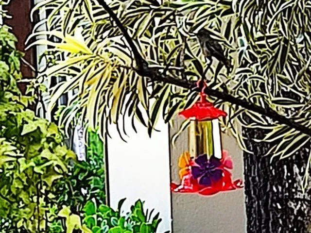 Imagem 6: Imperdível oportunidade! Casa à venda em Balneário Camboriú-SC, no bairro Praia do