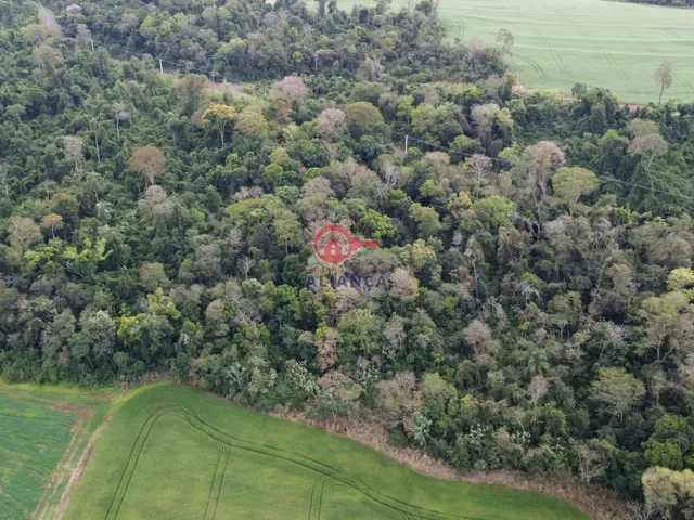 Imagem 6: Propriedade Rural À Venda, Dez de Maio, Toledo - Pr