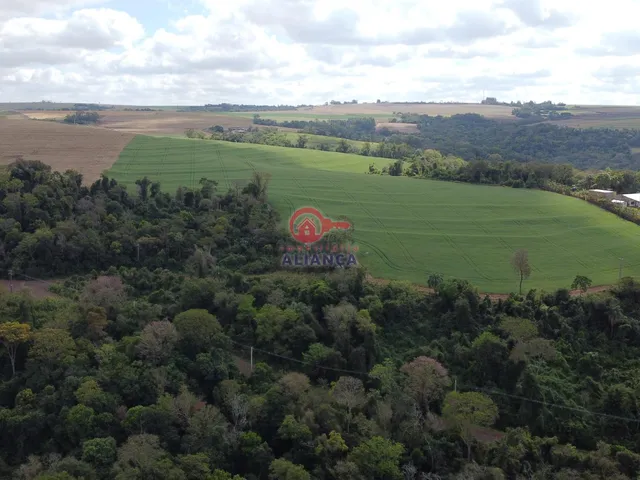 Imagem 10: Propriedade Rural À Venda, Dez de Maio, Toledo - Pr