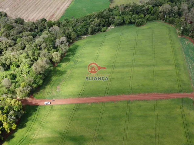 Imagem 12: Propriedade Rural À Venda, Dez de Maio, Toledo - Pr