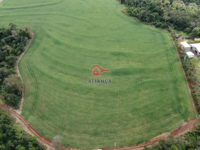 Imagem 15: Propriedade Rural À Venda, Dez de Maio, Toledo - Pr