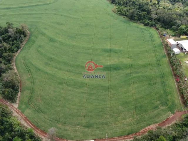 Imagem 16: Propriedade Rural À Venda, Dez de Maio, Toledo - Pr