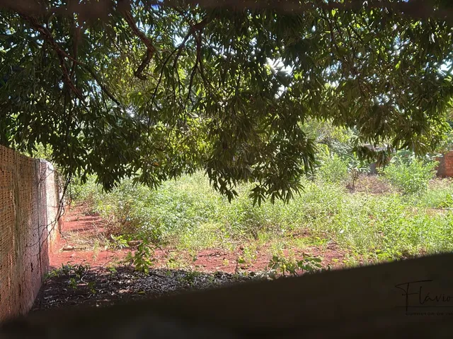 Imagem 3: Terreno em Monte Castelo, Campo Grande/Ms