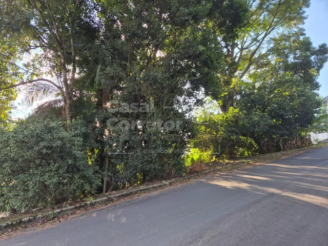Imagem 4: CASA COM 4 DORMITÓRIOS SENDO 1 SUÍTE MASTER E AMPLO TERRENO