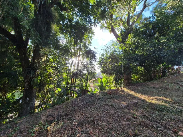 Imagem 6: CASA COM 4 DORMITÓRIOS SENDO 1 SUÍTE MASTER E AMPLO TERRENO