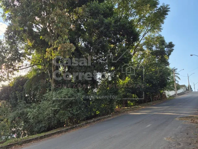 Imagem 5: CASA COM 4 DORMITÓRIOS SENDO 1 SUÍTE MASTER E AMPLO TERRENO
