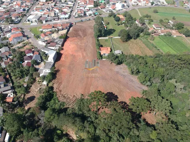 Imagem 3: Ótima área para construção de barracão