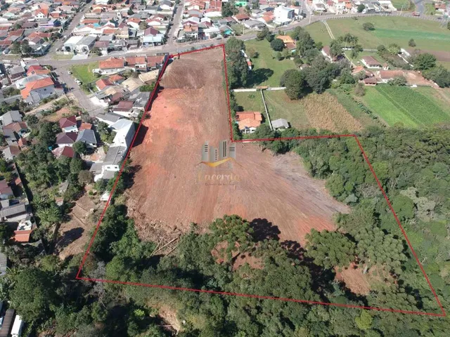 Imagem 5: Ótima área para construção de barracão