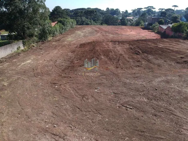 Imagem 9: Ótima área para construção de barracão