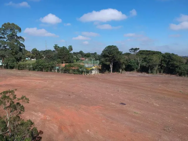Imagem 12: Ótima área para construção de barracão