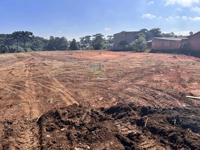 Imagem 13: Ótima área para construção de barracão