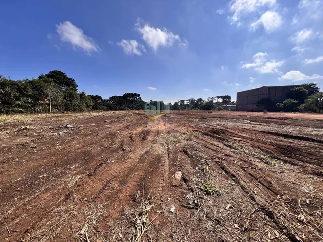 Imagem 14: Ótima área para construção de barracão