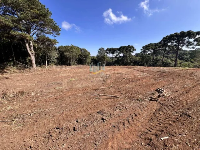 Imagem 15: Ótima área para construção de barracão