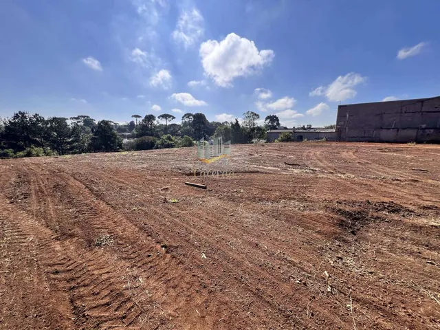 Imagem 16: Ótima área para construção de barracão