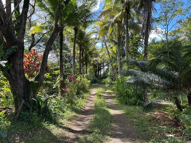 Imagem 1: Sítio residencial e comercial com lagoa, pasto, pomar, galpão, acesso pavimentado