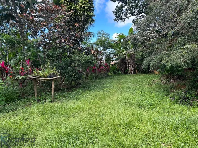 Imagem 12: Sítio residencial e comercial com lagoa, pasto, pomar, galpão, acesso pavimentado