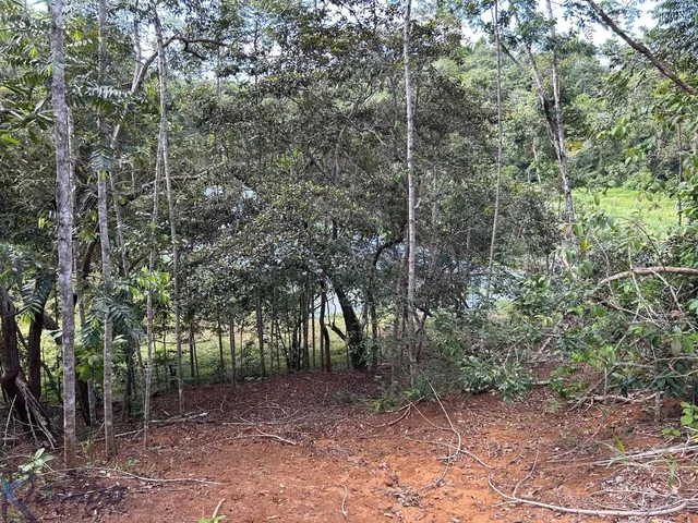 Imagem 14: Sítio residencial e comercial com lagoa, pasto, pomar, galpão, acesso pavimentado