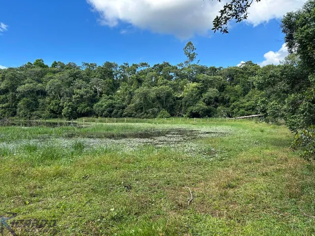 Imagem 2: Sítio residencial e comercial com lagoa, pasto, pomar, galpão, acesso pavimentado