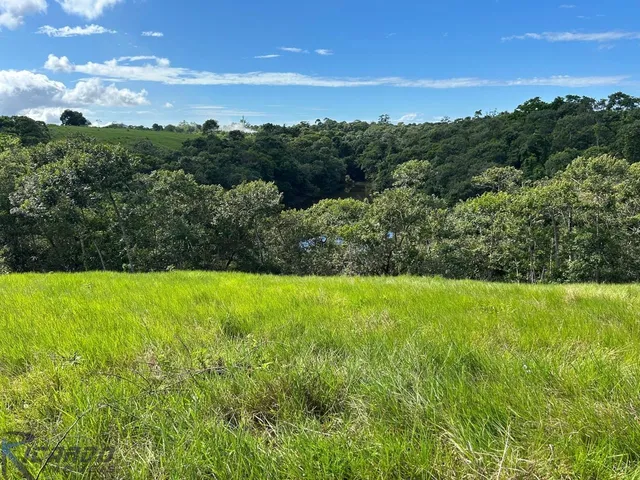 Imagem 16: Sítio residencial e comercial com lagoa, pasto, pomar, galpão, acesso pavimentado