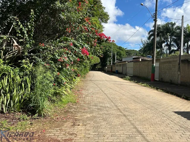 Imagem 6: Sítio residencial e comercial com lagoa, pasto, pomar, galpão, acesso pavimentado