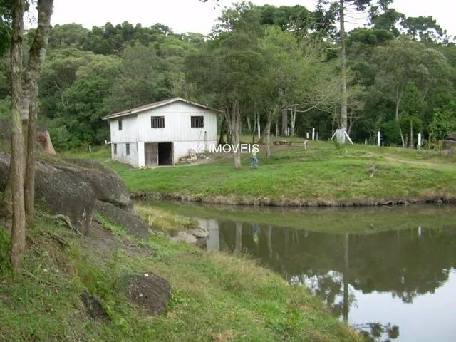 Imagem 2: Chácara à venda em Quatro Barras, Borda do Campo, com 2 quartos, 338800,00m²