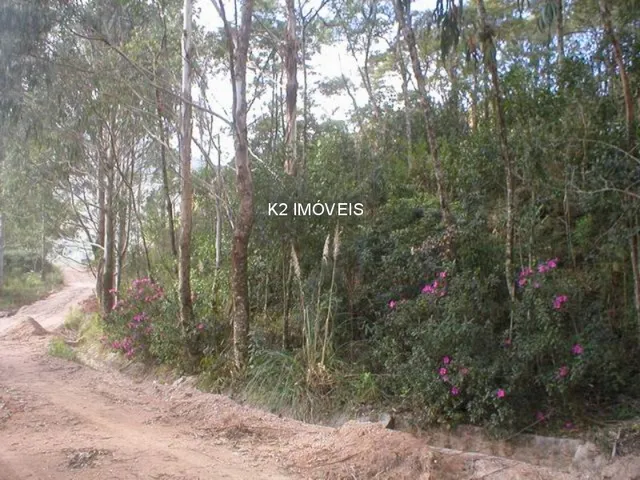 Imagem 3: Chácara à venda em Quatro Barras, Borda do Campo, com 2 quartos, 338800,00m²