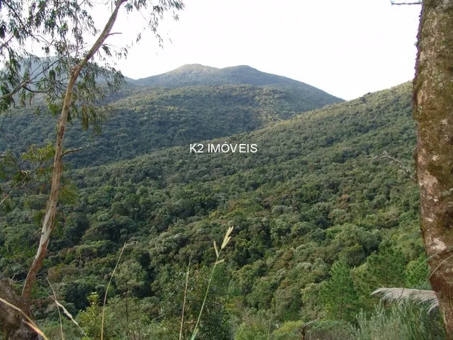 Imagem 4: Chácara à venda em Quatro Barras, Borda do Campo, com 2 quartos, 338800,00m²