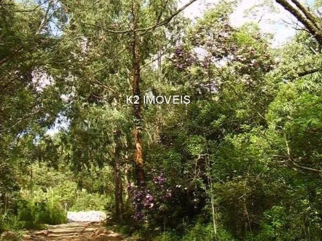 Imagem 5: Chácara à venda em Quatro Barras, Borda do Campo, com 2 quartos, 338800,00m²