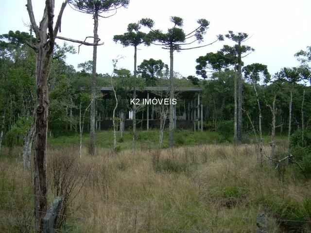 Imagem 6: Chácara à venda em Quatro Barras, Borda do Campo, com 2 quartos, 338800,00m²