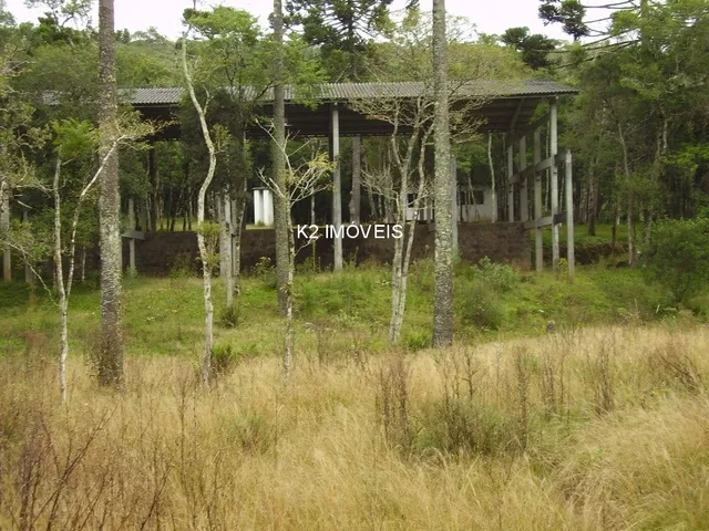 Imagem 8: Chácara à venda em Quatro Barras, Borda do Campo, com 2 quartos, 338800,00m²