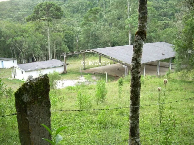 Imagem 10: Chácara à venda em Quatro Barras, Borda do Campo, com 2 quartos, 338800,00m²