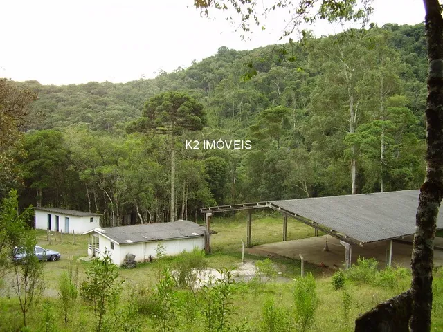Imagem 11: Chácara à venda em Quatro Barras, Borda do Campo, com 2 quartos, 338800,00m²