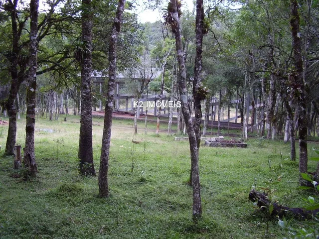 Imagem 12: Chácara à venda em Quatro Barras, Borda do Campo, com 2 quartos, 338800,00m²